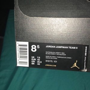 Jordan jumpman team II